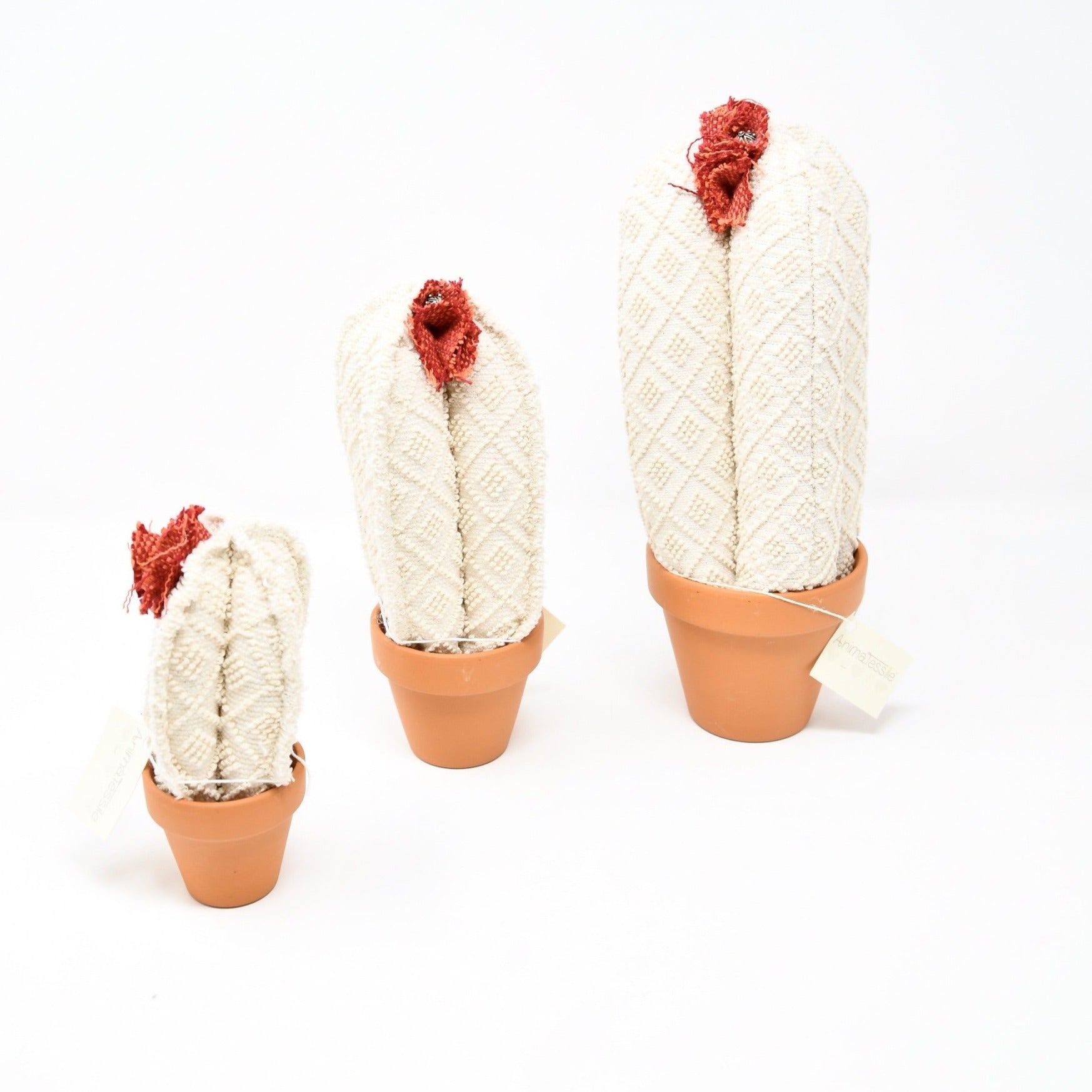 Cactus in cream fabric
