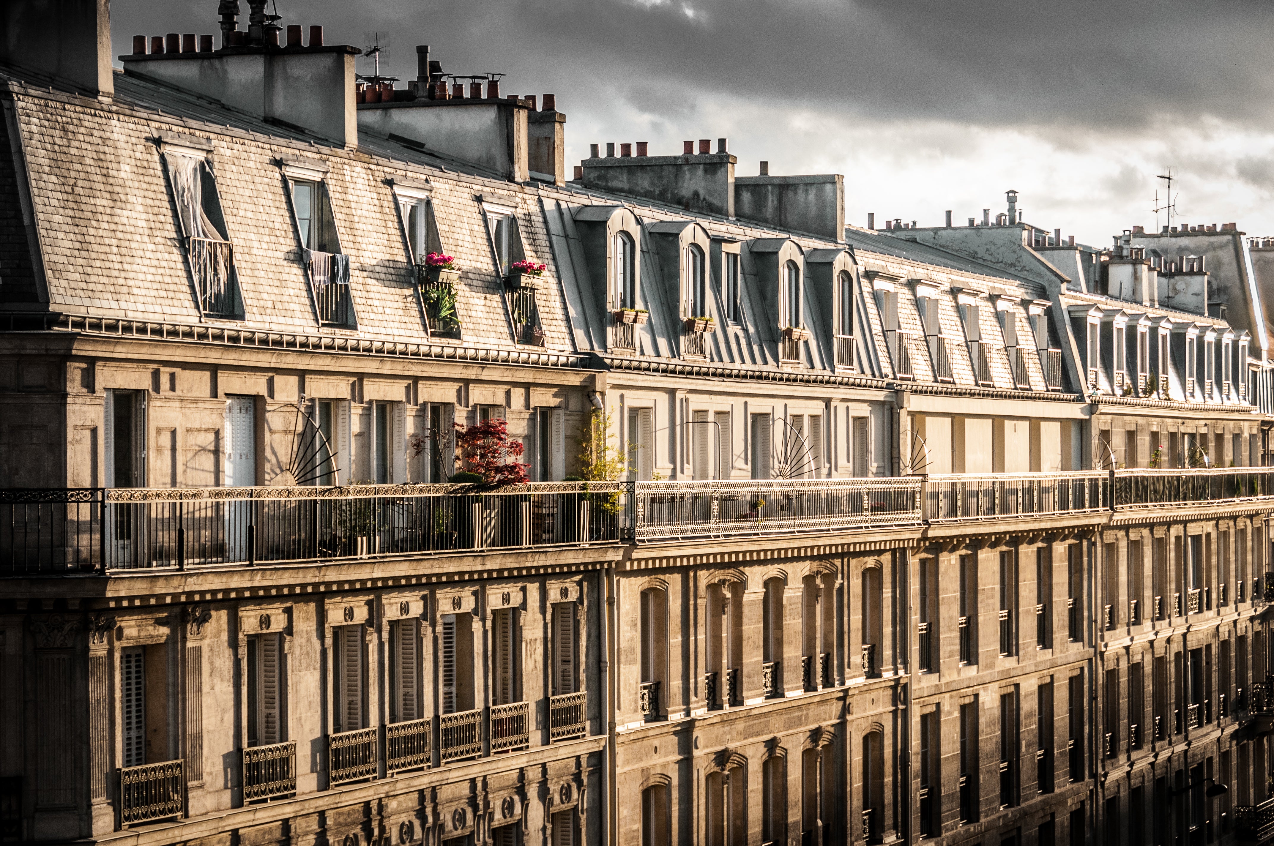 Roofs of Paris 2